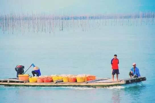 厦门周边游丨如果你累了，就出去旅行吧……