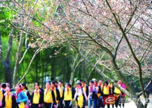 唯美田园风光风景图片