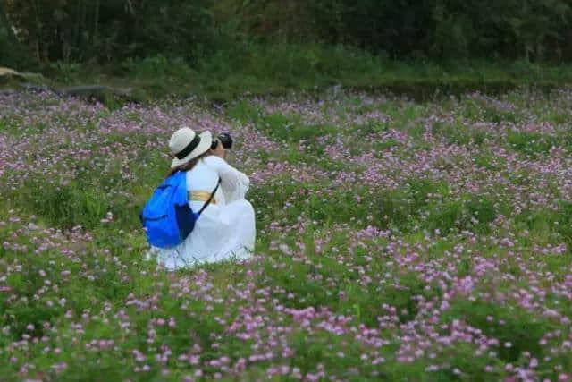 毕业季！桂林周边适合露营度假的浪漫圣地~