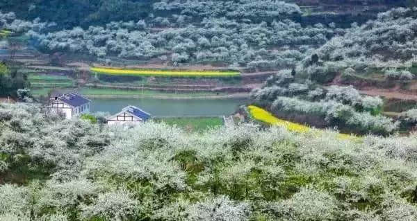 出游｜贵州人游遵义景区，门票只需5折哦！