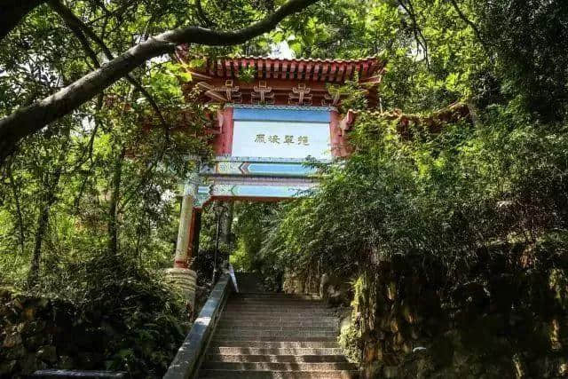 出游｜贵州人游遵义景区，门票只需5折哦！