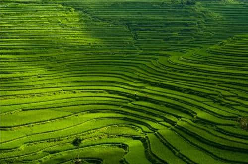 贵州最值得自驾旅行的一条线路，从贵阳出发，收获一路苗侗风情！