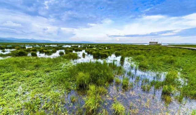 在这里感受仙境 若诗若画若尔盖文化旅游推介会在金城兰州举行