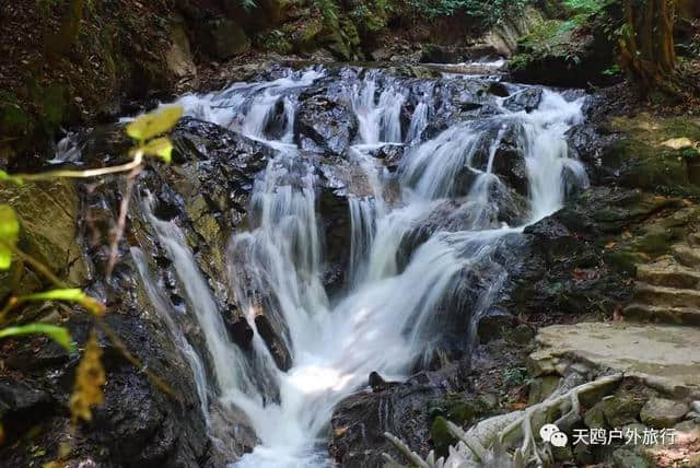 春节去西双版纳？人满为患！不如去瑞丽，一样的热带雨林风情