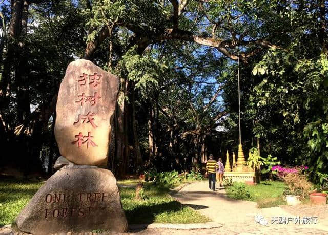 春节去西双版纳？人满为患！不如去瑞丽，一样的热带雨林风情