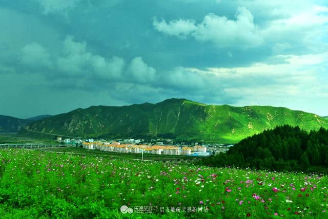 走进日光山花海，花海背后是朝鲜第一夫人的故乡