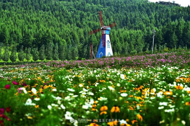 走进日光山花海，花海背后是朝鲜第一夫人的故乡