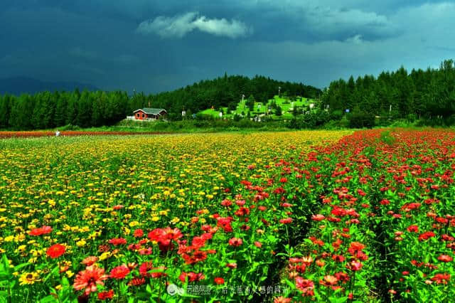 走进日光山花海，花海背后是朝鲜第一夫人的故乡