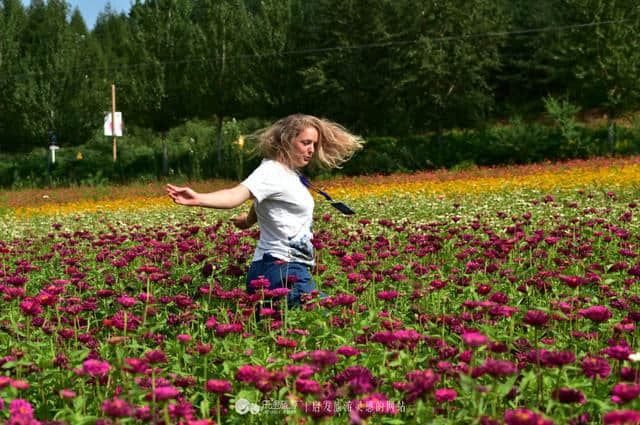 走进日光山花海，花海背后是朝鲜第一夫人的故乡