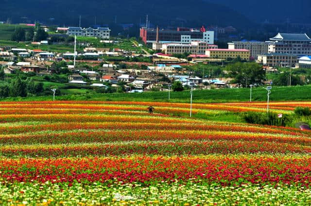 走进日光山花海，花海背后是朝鲜第一夫人的故乡