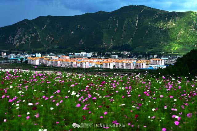 走进日光山花海，花海背后是朝鲜第一夫人的故乡