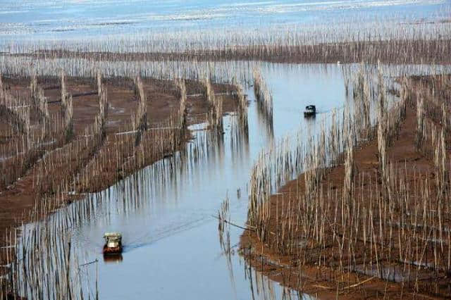 号称世界上最美的滩涂，福建霞浦，摄影师的天堂，你去过吗？