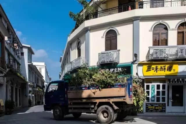 注意啦！鼓浪屿实行旅游交通临时管控！还有这些景区开放信息对你