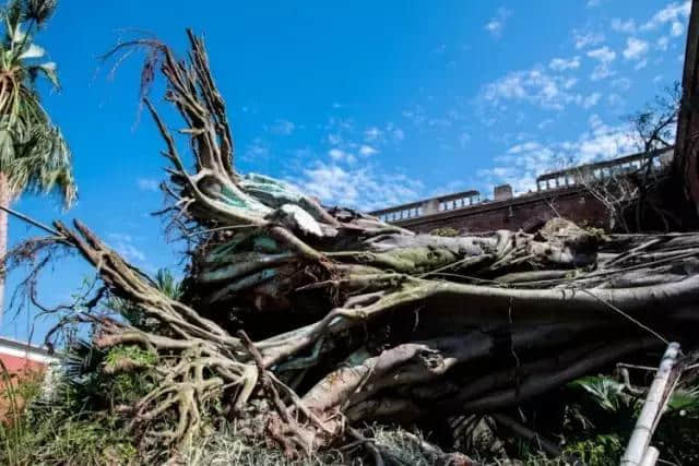 注意啦！鼓浪屿实行旅游交通临时管控！还有这些景区开放信息对你