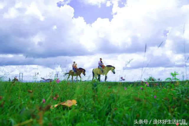 九月，到贵州旅游的朋友注意了，这份菜单请您收藏！