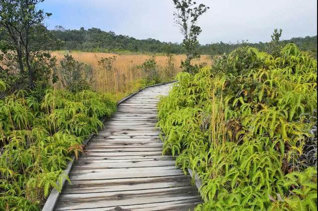 [萍水相逢]超详细的夏威夷旅游攻略，这13处美景让你心旷神怡~