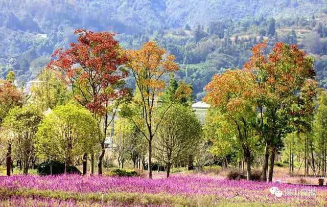 保山-聚焦：保山旅游又高大上了一截！