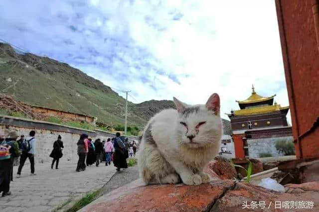 日喀则，用它的高度让人仰望