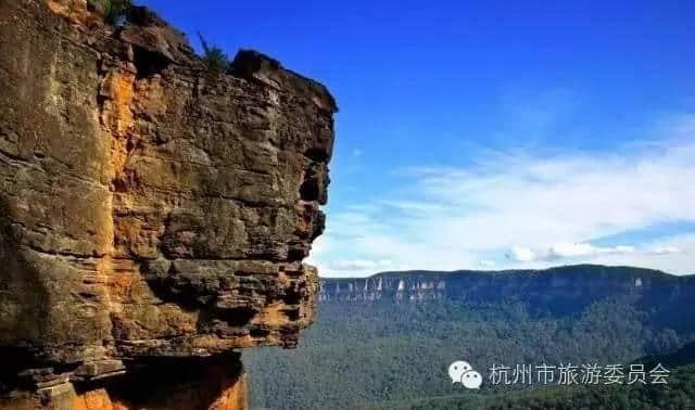 杭州直飞悉尼航线11月开通，分分钟扑向阳光沙滩棕榈树！