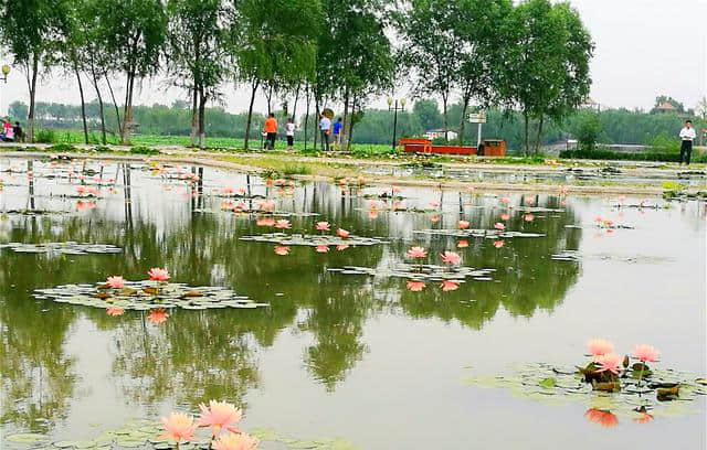 保定古有“古八景”，现有“新八景” 保定旅游必去之地