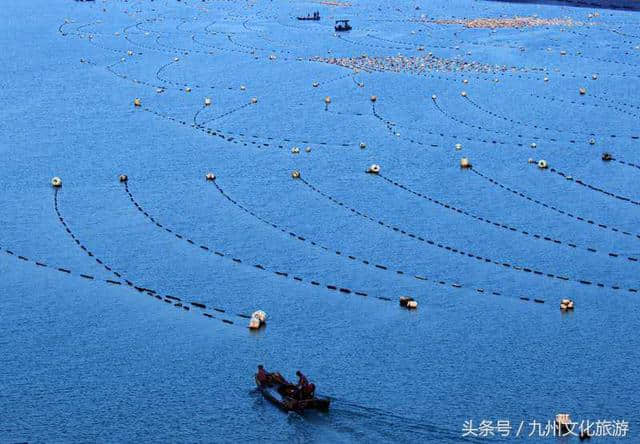 霞浦北岐滩涂——摄影人的必去之旅