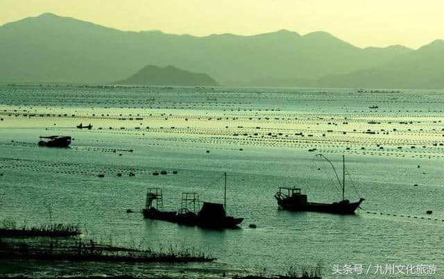 霞浦北岐滩涂——摄影人的必去之旅