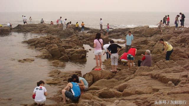 想十月份去北戴河看海，这里有一份北戴河旅游攻略