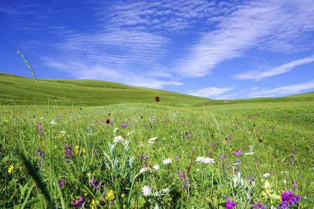 保定出发一小时，这些地方藏着美丽春景