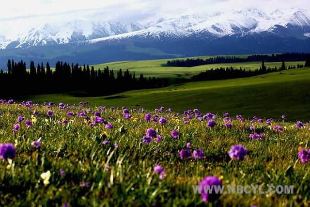 保定出发一小时，这些地方藏着美丽春景