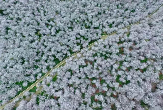 抖音的小众目的地，居然藏了中国80%的极致美景！