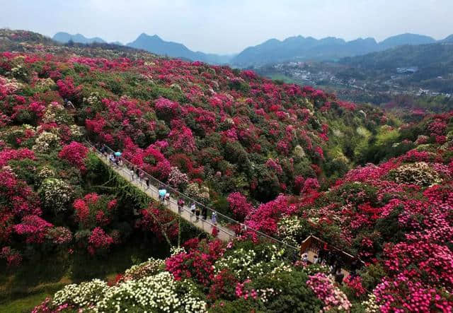 抖音的小众目的地，居然藏了中国80%的极致美景！