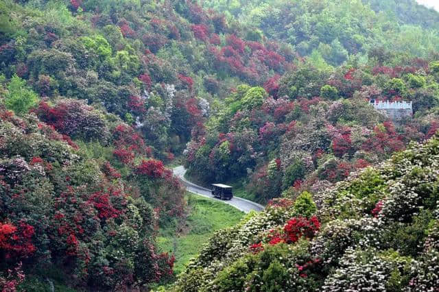 抖音的小众目的地，居然藏了中国80%的极致美景！