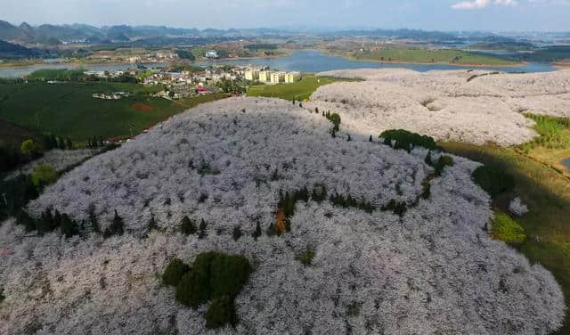 抖音的小众目的地，居然藏了中国80%的极致美景！