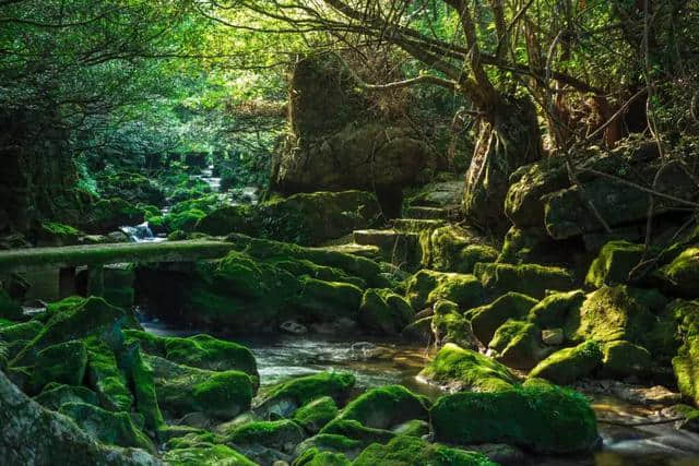 抖音的小众目的地，居然藏了中国80%的极致美景！