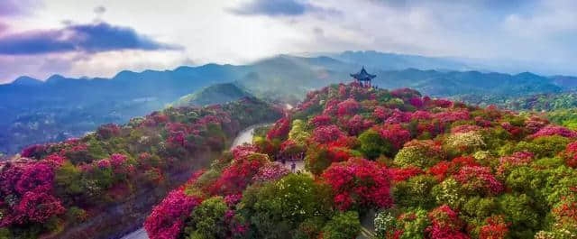 抖音的小众目的地，居然藏了中国80%的极致美景！