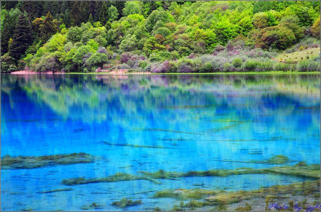 夏天去哪里旅游