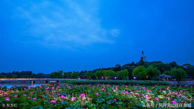 炎炎夏日去哪里旅游凉快啊