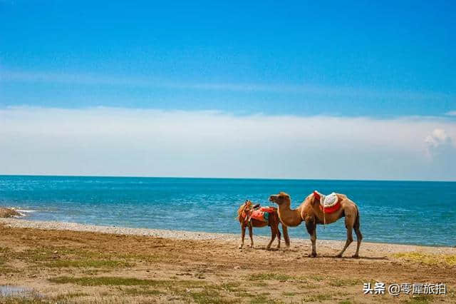 暑期去哪里玩？最适合夏日旅行的10个地方，个个都美翻天