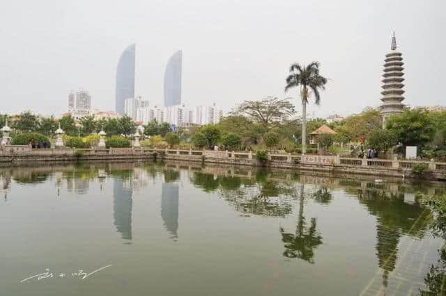 外地游客到厦门南普陀寺吃了一顿素菜，结账时看到价格都吓到了！