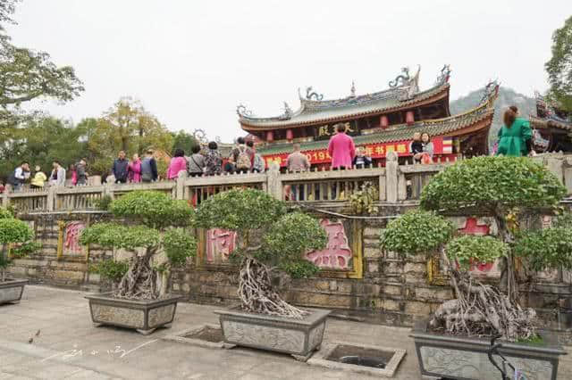 外地游客到厦门南普陀寺吃了一顿素菜，结账时看到价格都吓到了！