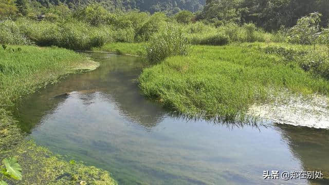 郑的云贵行（9）：荔波七小孔：贵州旅游最值得去的景点