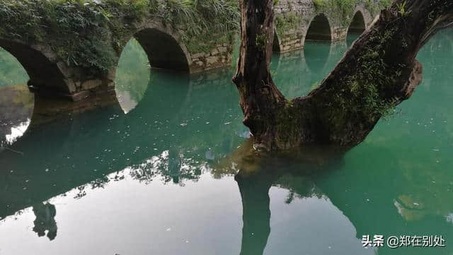 郑的云贵行（9）：荔波七小孔：贵州旅游最值得去的景点