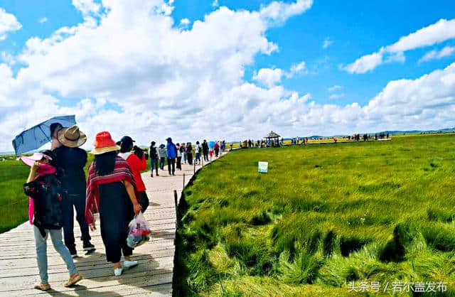 「旅游」八月，若尔盖迎来旅游小高峰！