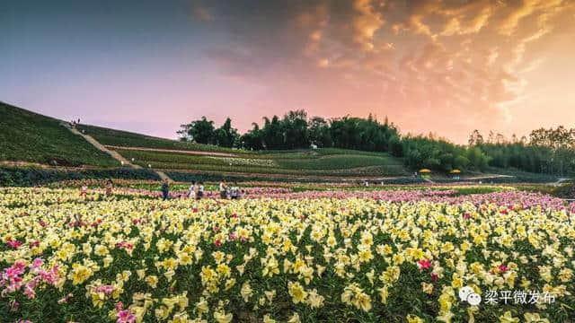 叮~你的梁平冬季旅游大礼包来啦！精彩纷呈，陪你热闹过年！