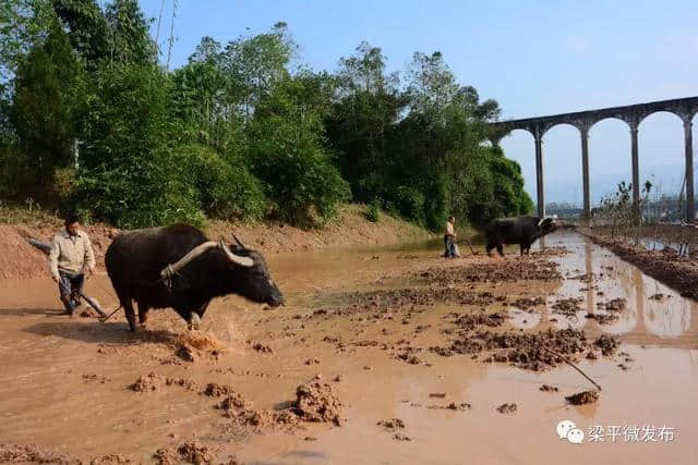 叮~你的梁平冬季旅游大礼包来啦！精彩纷呈，陪你热闹过年！