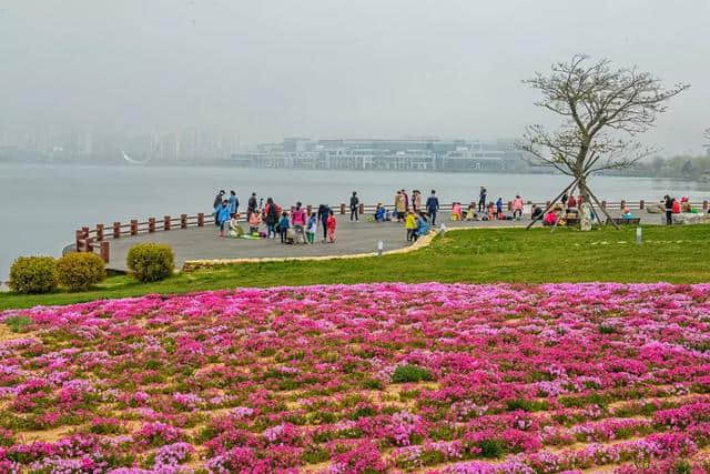 荣成：“回头客”最多的旅游城市，去了一次还想去......