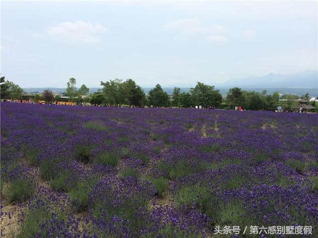 冬季游北海道，北海道自由行攻略