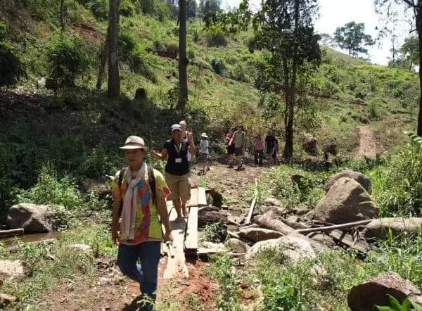 夏季旅游，你需要知道的