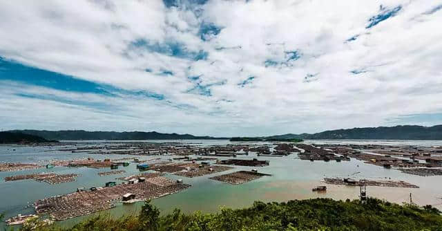 初春如果你来霞浦， 一定会被惊艳！