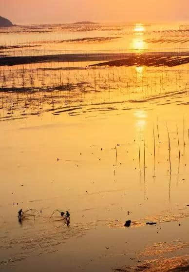 初春如果你来霞浦， 一定会被惊艳！